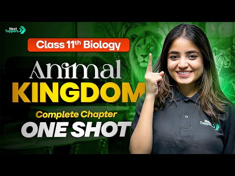 Animal Kingdom Class 11 One Shot 12th Biology Full Chapter-4 Revision CBSE 2025-26 - Biology video for Grade 11