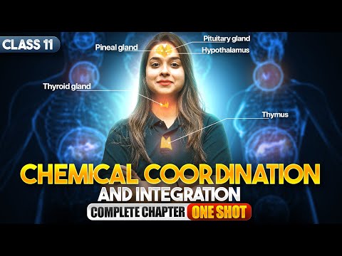 Chemical Coordination and Integration Class 11 One Shot NCERT Biology Full Chapter Explanation - Physics video for Grade 11