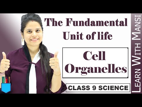 Cell Organelles | Chapter 5 | The Fundamental unit Of Life | Class 9 Science - Science video for Grade 9