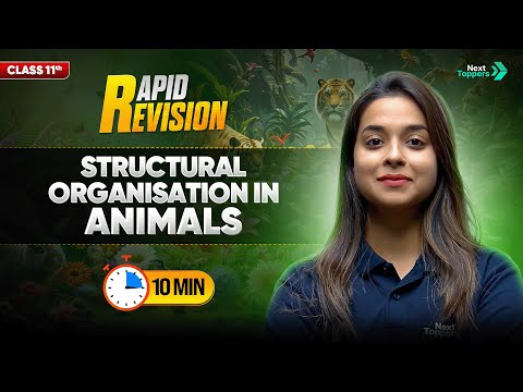 Structural Organization in Animals CBSE Class 11 Biology Full Chapter in Mins Rapid Revision - Biology video for Grade 11