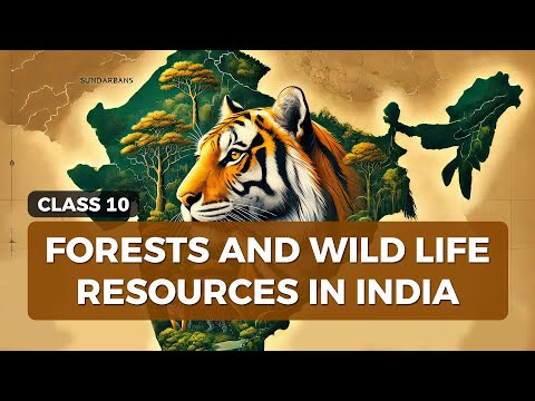 Forests and Wildlife Resources NCERT Class 10 Geography - Social Science video for Grade 10