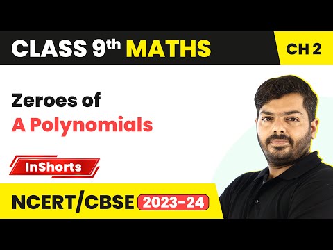 Zeroes of A Polynomials Class 9 Maths Chapter 2 Polynomials - Mathematics video for Grade 9