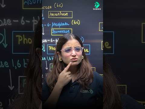Glycolysis Trick in 80 Sec Mnemonics to Remember Glycolysis Steps - Biology video for Grade 11