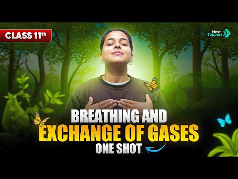 Breathing and Exchange of Gases Class 11 One Shot NCERT Biology Full Chapter-17 Explanation - Physics video for Grade 11