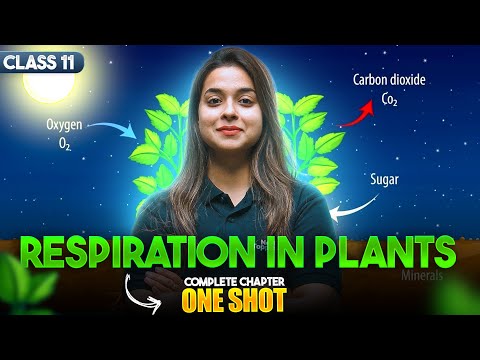 Respiration in Plants - Class 11 NCERT Biology Full Chapter Explanation by Manushree Maam - Biology video for Grade 11