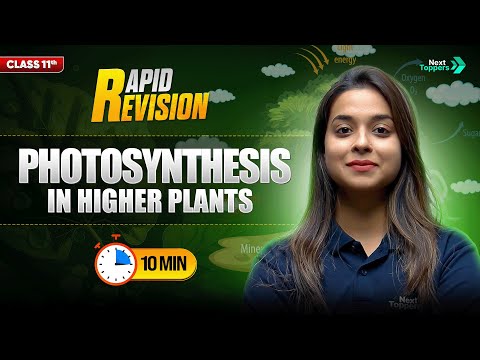 Photosynthesis in Higher Plants CBSE Class 11 Biology Rapid Revision Full Chapter in Mins - Biology video for Grade 11