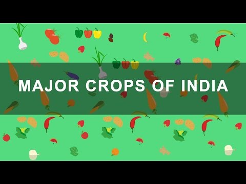 Major Crops of India - Rabi, Kharif, Zaid crops Indian Agriculture, Geography - Social Science video for Grade 10