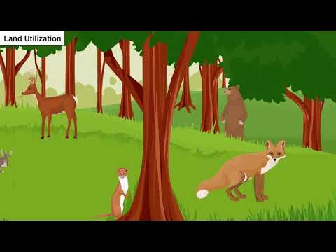 Resources and Development - Social Science - English - Geography - Class 10 - Cbse Ncert - Social Science video for Grade 10