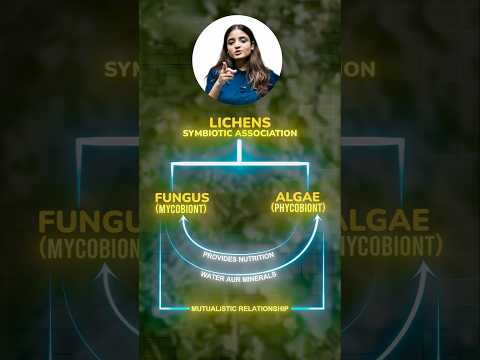 What Are Lichens? Class 11 Biology Chapter 2 Biological Classification Apeksha Maam - Biology video for Grade 11