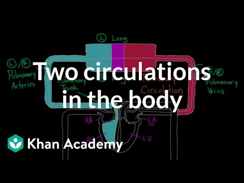 Two Circulations in the Body Circulatory system physiology NCLEX-RN Khan Academy - Science video for Grade 10