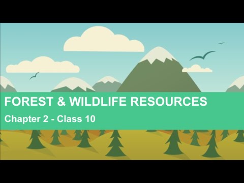 Forest and Wildlife Resources - Chapter 2 Geography NCERT Class 10 - Social Science video for Grade 10