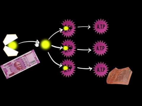 Respiration site ATP Life processes Biology Khan Academy - Science video for Grade 10