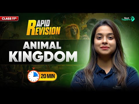 Animal Kingdom CBSE Class 11 Biology Full Chapter in 20 Mins Rapid Revision Series - Mathematics video for Grade 11