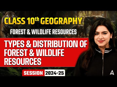 Types and Distribution of Forest - Forest Wildlife Resources Class 10 Geography Chapter 2 - Social Science video for Grade 10