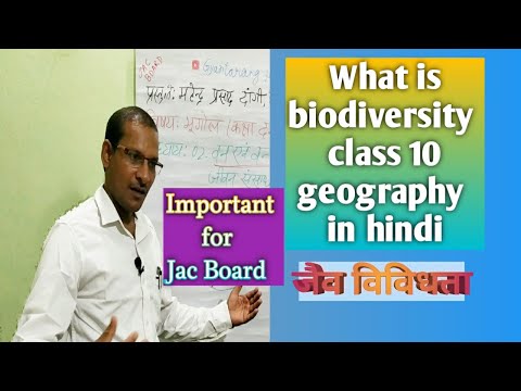 What is biodiversity class 10 in hindi जैव विविधता का महत्व - Social Science video for Grade 10