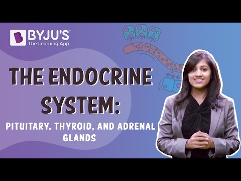 The Endocrine System - Pituitary, Thyroid, And Adrenal Glands Class 10 Learn With BYJUS - Science video for Grade 10