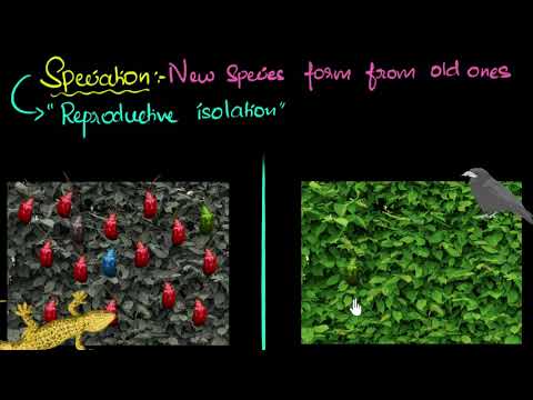 Speciation with example Heredity Evolution Biology Khan Academy - Science video for Grade 10