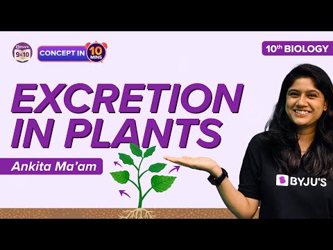 Excretion in Plants Class 10 Science Biology Life Processes Concepts Class 10 Boards 2022-2023 - Science video for Grade 10