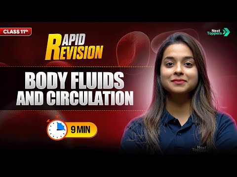 Body Fluids and Circulation CBSE Class 11th Biology Full Chapter in 9 Mins Rapid Revision -  video for Grade 10
