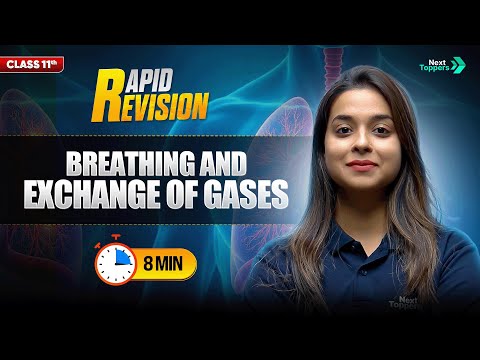 Breathing and Exchange of Gases CBSE Class 11th Biology Full Chapter in 8 Mins Rapid Revision - Physics video for Grade 11