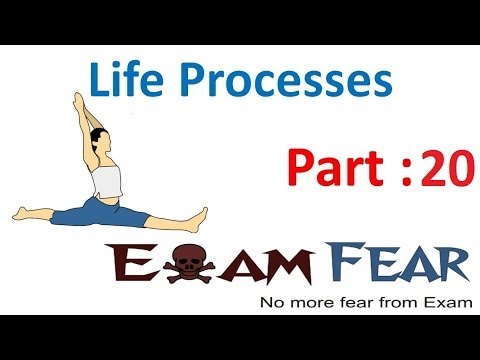 Biology Life Processes part 20 Transportation Circulatory system CBSE class 10 X - Science video for Grade 10