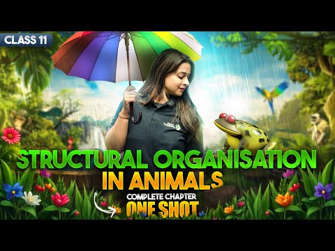 Structural Organization in Animals Class 11 One Shot NCERT Biology Full Chapter Revision CbseExam - Biology video for Grade 11