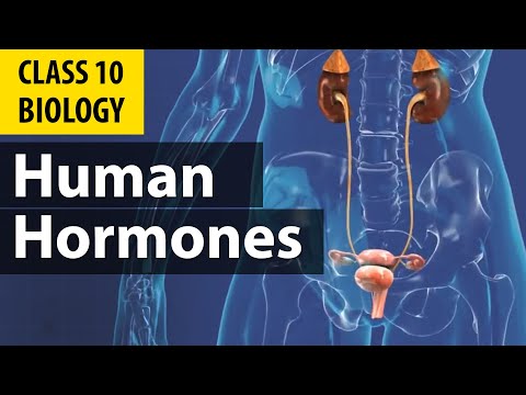 controlandcoordination Hormones in Animals cbse Biology NCERT class 10 science chapter 7 - Science video for Grade 10