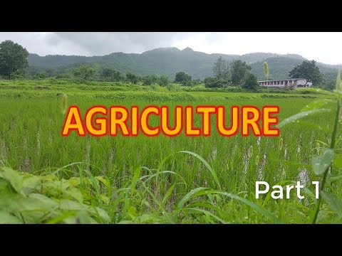 Agriculture Class 10 CBSE Geography part 1 - Social Science video for Grade 10