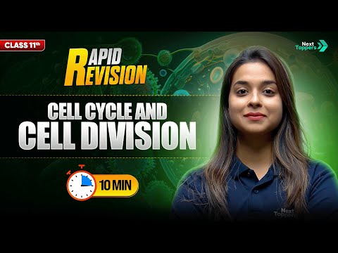 Cell Cycle and Cell Division CBSE Class 11 Biology Rapid Revision Full Chapter in Mins - Biology video for Grade 11