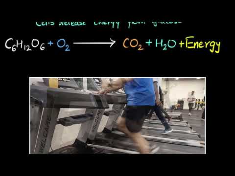 Aerobic anaerobic respiration Life processes Biology Khan Academy - Science video for Grade 10