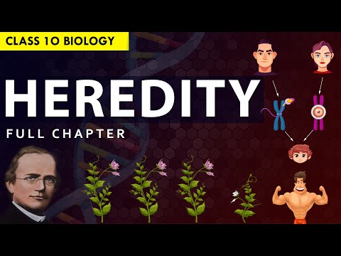 CLASS 10 HEREDITY EVOLUTION Full chapter explanation Animation NCERT Class 10 Chapter 8 - Science video for Grade 10