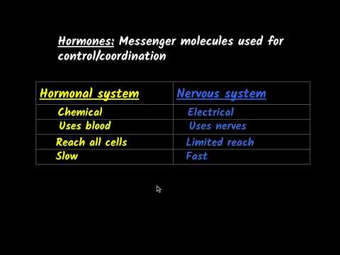 Hormones in animals Endocrine glands Control coordination Class 10 Biology Khan Academy - Science video for Grade 10