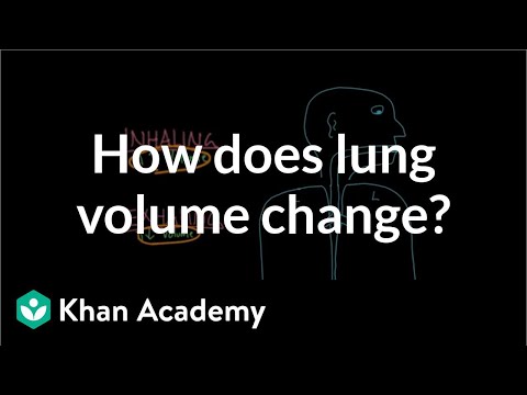 How does lung volume change? Respiratory system physiology NCLEX-RN Khan Academy - Biology video for Grade 10