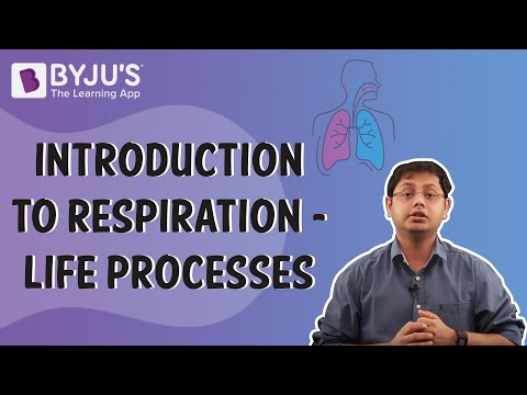 Introduction to Respiration - Life Processes I Class 10 I Learn With BYJUS - Science video for Grade 10