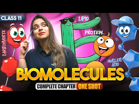 Biomolecules Class 11 One Shot Class 11 Biology Complete Chapter Revision CBSE 2025-26 Exam - Chemistry video for Grade 11