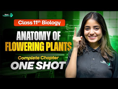 Anatomy of Flowering Plants Class 11 One Shot 11th Biology Chapter 6 Revision CBSE 2025-26 - Biology video for Grade 11