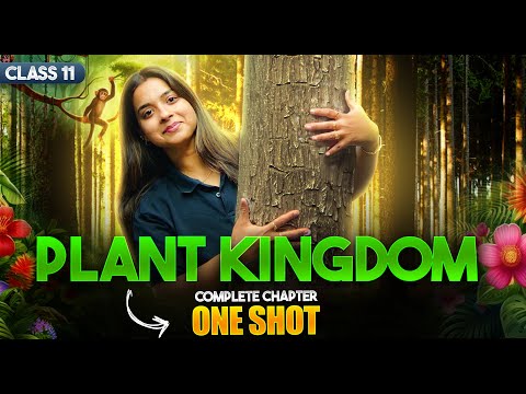 Plant Kingdom Class 11 One Shot Class 11th Biology Chapter-3 Revision CBSE 2025-26 Exam - Biology video for Grade 11