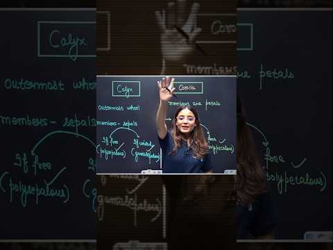 CALYX vs COROLLA Explained in 1 Minute Class 11 Biology -  video for Grade 10