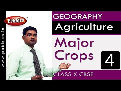 Major Crops Agriculture Geography CBSE Class 10 Social Sciences - Social Science video for Grade 10