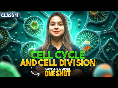 Cell Cycle and Cell Division Class 11 One Shot NCERT Biology Full Chapter-10 Revision CBSE 2025 - Biology video for Grade 11