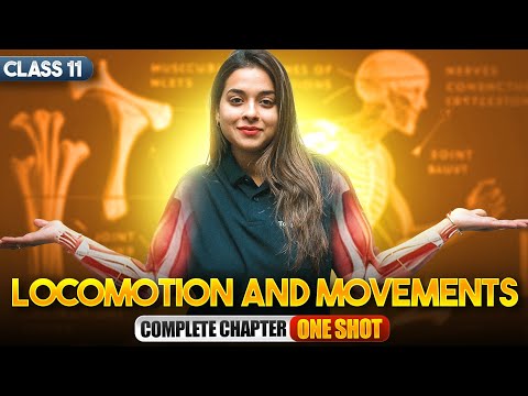 Locomotion and Movement Class 11 One Shot Class 11 Biology CBSE 2025-26 Exam - Physics video for Grade 11