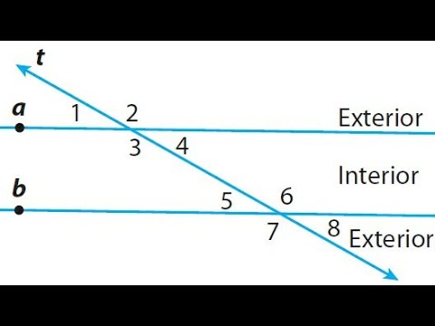 Parallel Lines and Transversal Class 9 Maths Lines and Angles Chapter Explained with Examples - Mathematics video for Grade 9