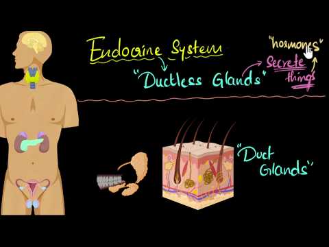 Endocrine system major hormones functions Control Coordination Biology Khan Academy - Science video for Grade 10